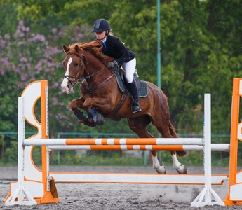 Reiten